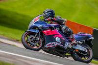 PJ-Motorsport-2019;anglesey;brands-hatch;cadwell-park;croft;donington-park;enduro-digital-images;event-digital-images;eventdigitalimages;mallory;no-limits;oulton-park;peter-wileman-photography;racing-digital-images;silverstone;snetterton;trackday-digital-images;trackday-photos;vmcc-banbury-run;welsh-2-day-enduro